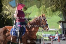 ref. photo 3558001