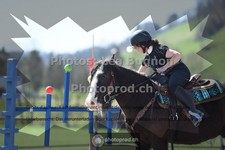 ref. photo 3558004