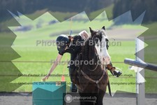 ref. photo 3558005