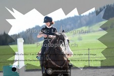 ref. photo 3558006