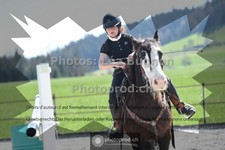 ref. photo 3558007