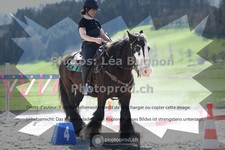 ref. photo 3558008