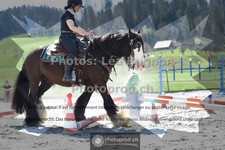 ref. photo 3558009