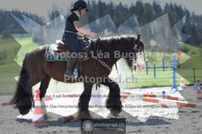 ref. photo 3558010