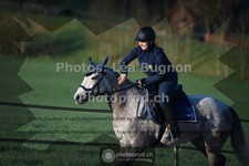 ref. photo 3558028
