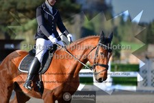 ref. photo 3558031
