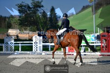 ref. photo 3558033