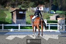 ref. photo 3558034