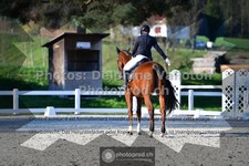 ref. photo 3558035