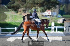 ref. photo 3558037
