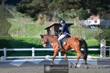 ref. photo 3558038