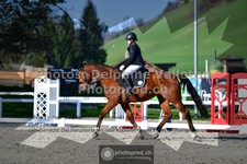 ref. photo 3558041