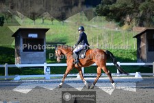 ref. photo 3558042
