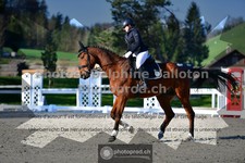 ref. photo 3558048