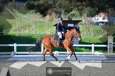 ref. photo 3558050