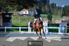 ref. photo 3558051