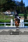ref. photo 3558052