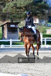 ref. photo 3558053