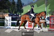ref. photo 3558061