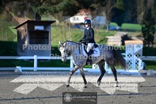 ref. photo 3558078