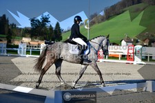 ref. photo 3558080