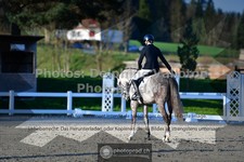 ref. photo 3558081