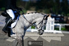 ref. photo 3558085
