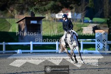 ref. photo 3558094