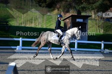 ref. photo 3558099