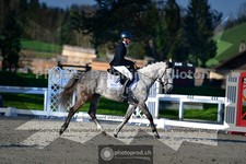ref. photo 3558100