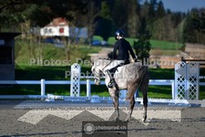 ref. photo 3558105