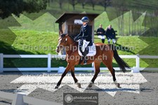ref. photo 3558110