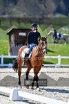 ref. photo 3558111