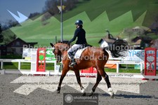 ref. photo 3558112