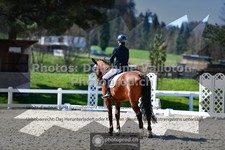 ref. photo 3558113
