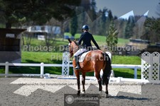 ref. photo 3558114