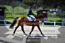 ref. photo 3558115