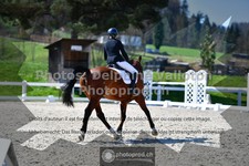 ref. photo 3558116