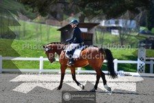 ref. photo 3558117