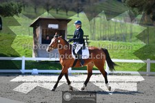 ref. photo 3558118