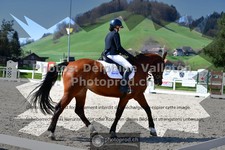 ref. photo 3558119