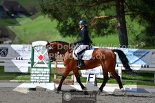 ref. photo 3558120