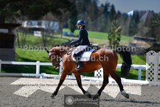 ref. photo 3558123