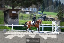 ref. photo 3558124