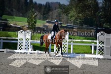 ref. photo 3558125