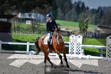 ref. photo 3558131