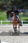 ref. photo 3558133