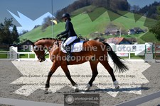 ref. photo 3558139