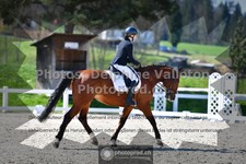 ref. photo 3558140