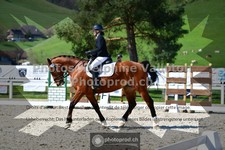 ref. photo 3558144